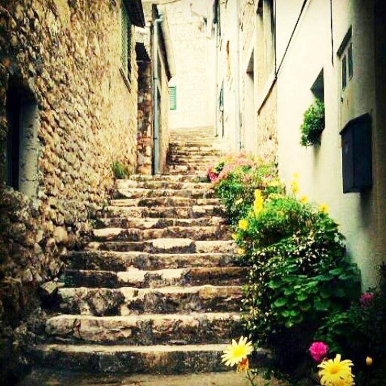 Aparthotel Castrum Novum Novigrad Istria Exterior foto